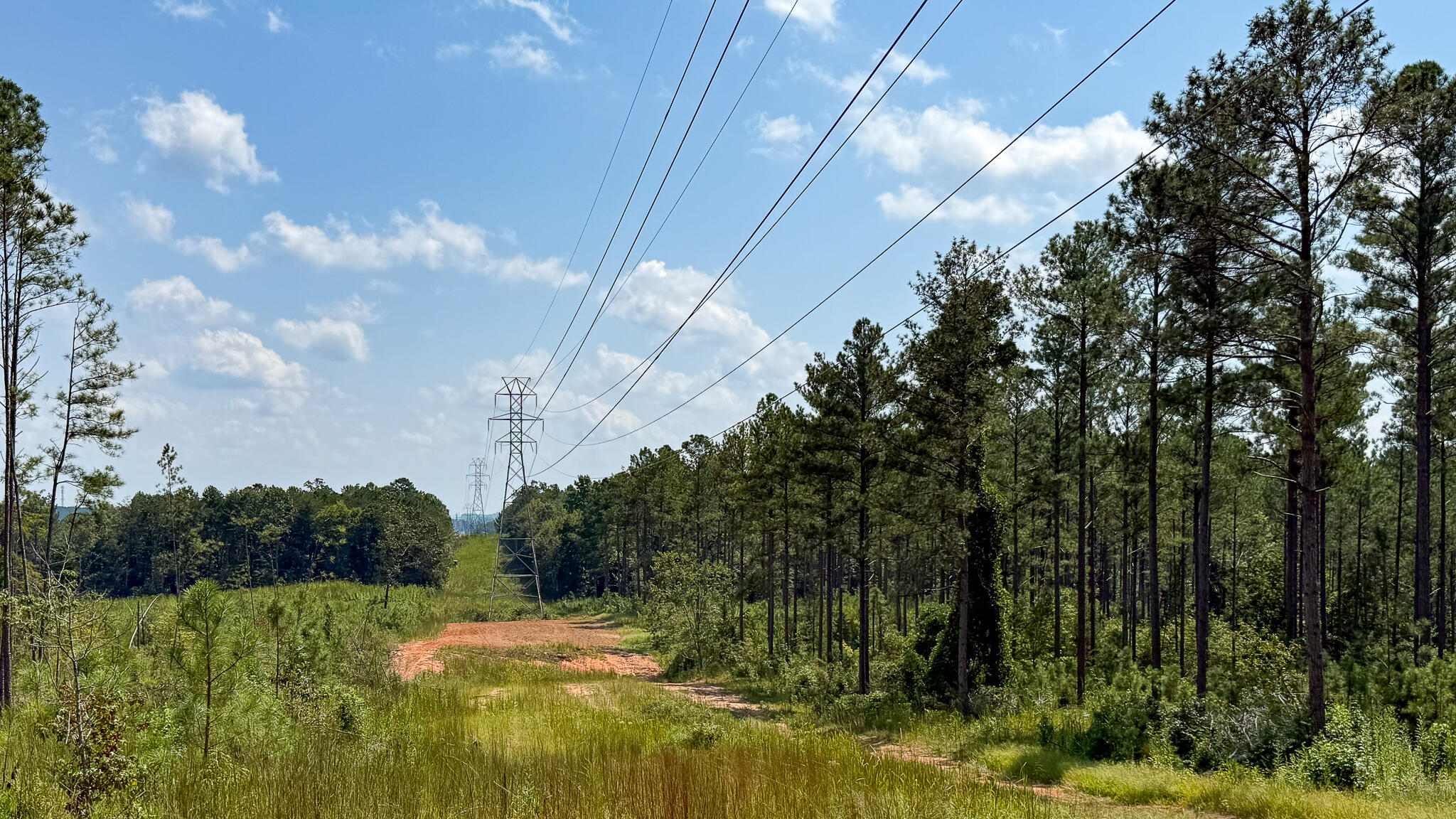 0 Bailey Road Buffalo, SC 29321 - Photo 3 of 16 Buffalo Tract Compass South Land Sales-1