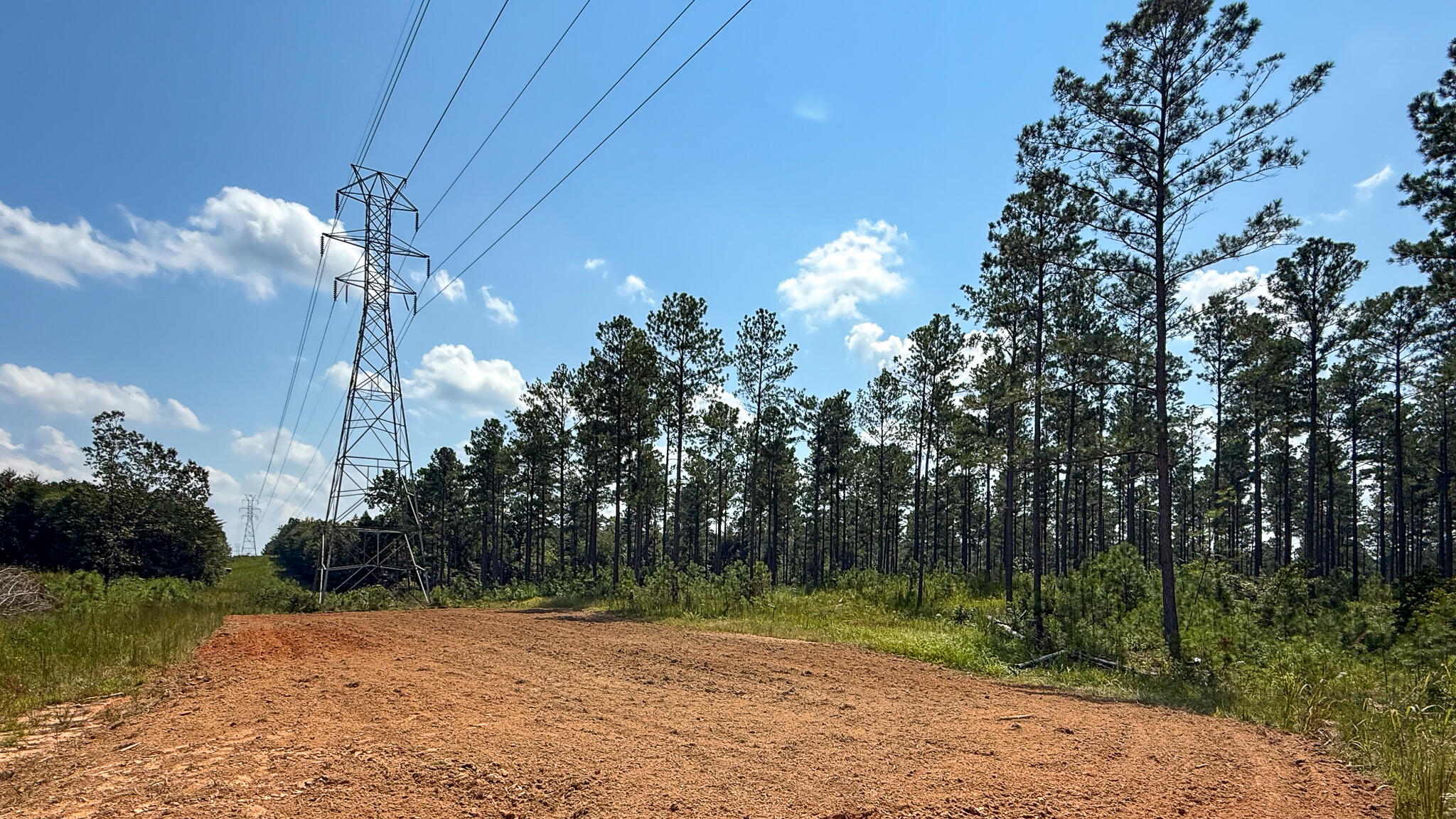 0 Bailey Road Buffalo, SC 29321 - Photo 4 of 16 Buffalo Tract Compass South Land Sales-1