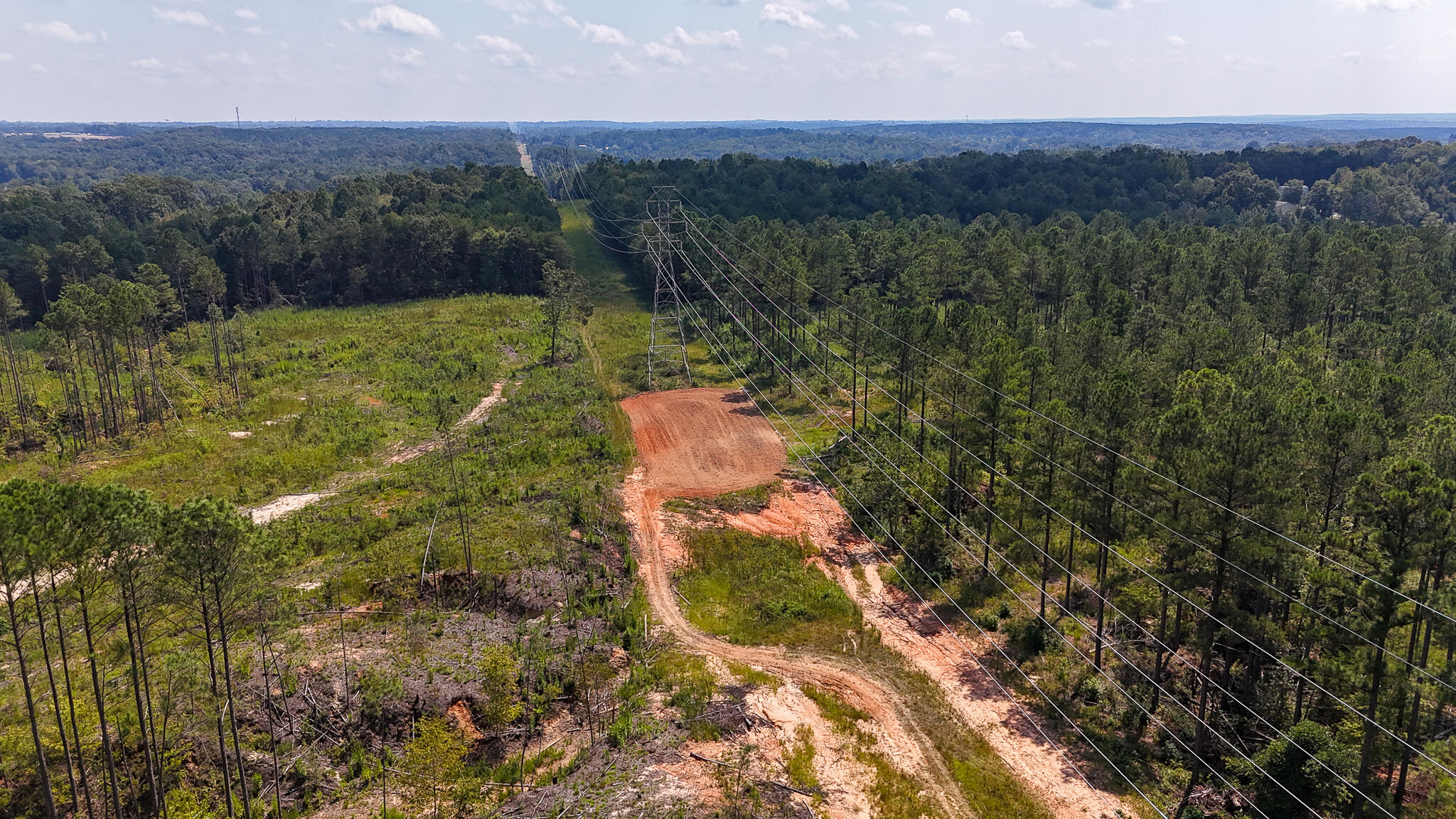 0 Bailey Road Buffalo, SC 29321 - Photo 8 of 16 Buffalo Tract Compass South Land Sales-2