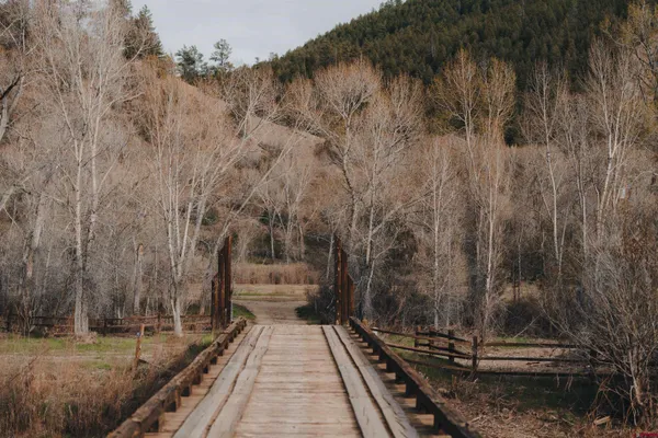 $1,790,000 | 10210 Cr 500 Pagosa Springs, Pagosa Springs, CO 81147