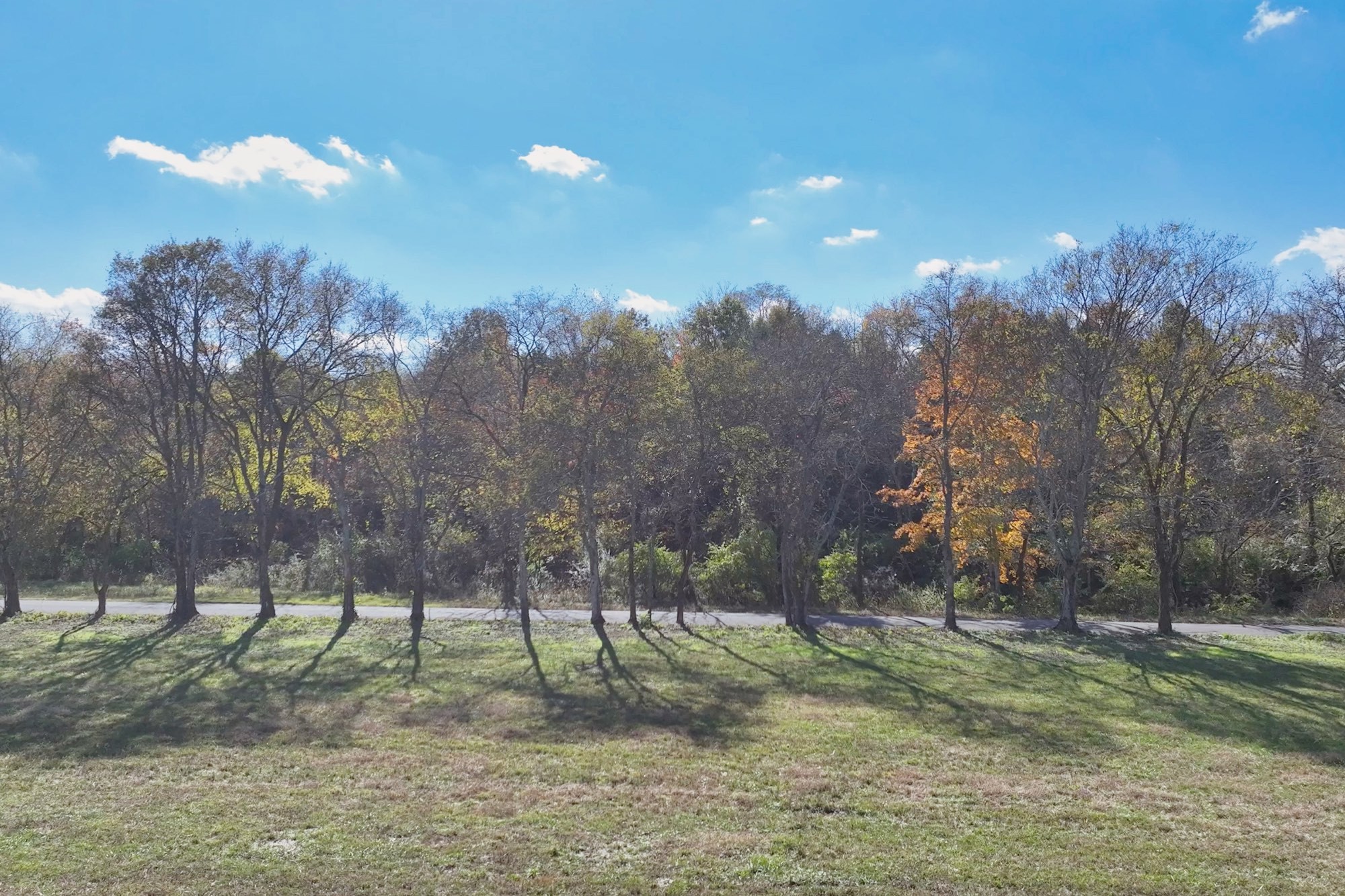 6 Deshea Creek Road Gallatin, TN 37066 - Photo 5 of 11 a view of a park