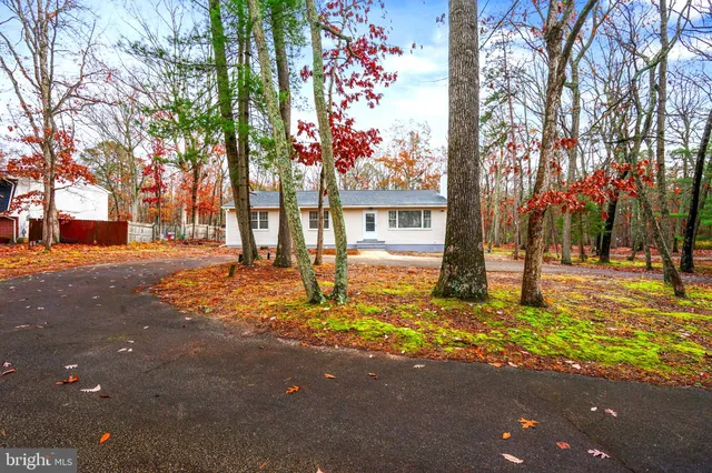 a view of a yard with a tree