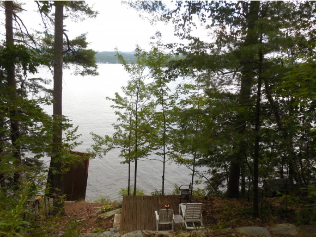 910 Avalon Beach Road Castleton, VT 05743 - Photo 1 of 15