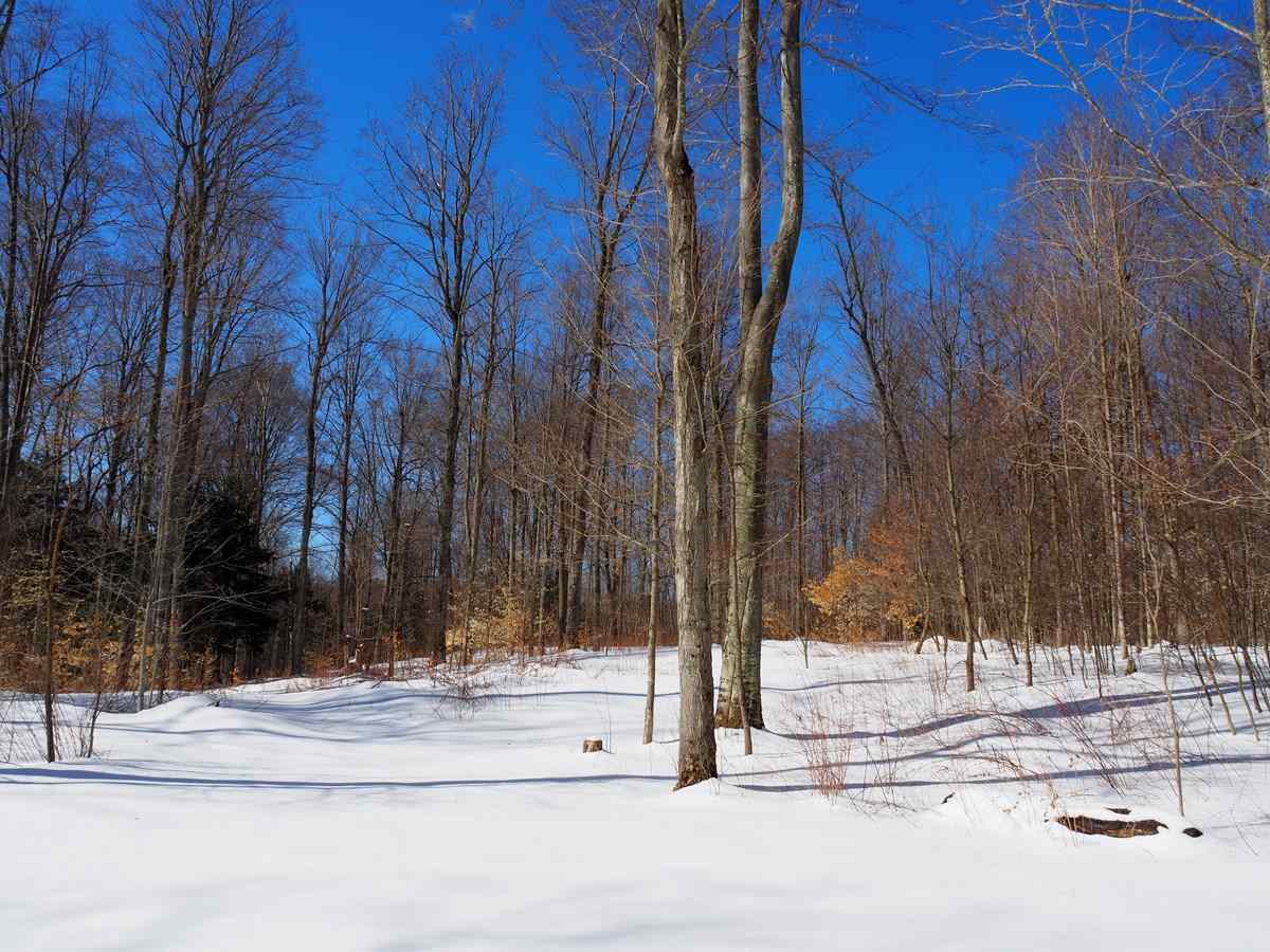 3160 Valley Road Honor, MI 49640 - Photo 34 of 45 1845121-33.JPG