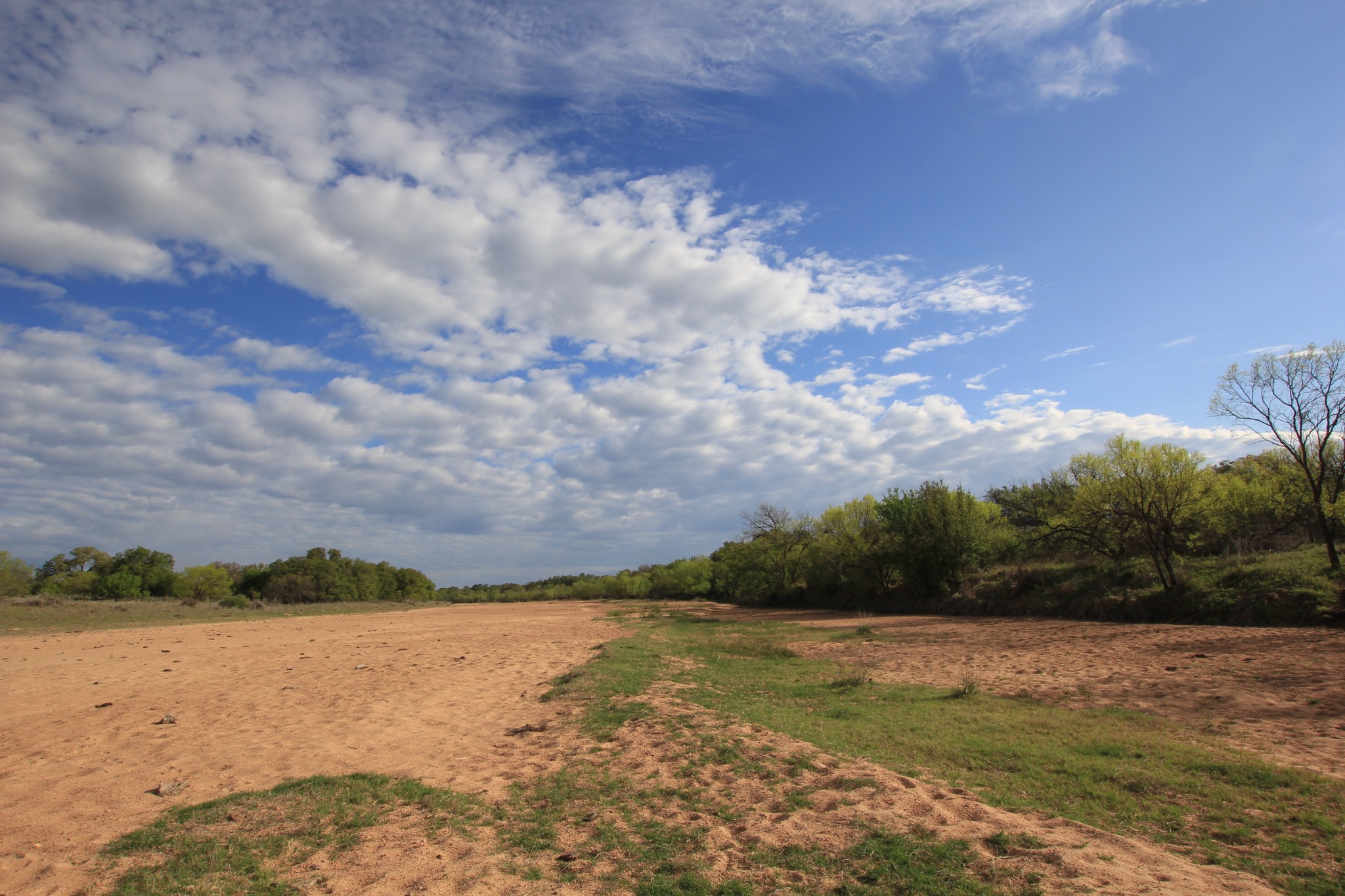 2976 Lower Willow Creek Road Mason, TX 76856 - Photo 27 of 27 Expansive undeveloped land featuring a broad, dry bed with scattered green ground cover and a distant tree line