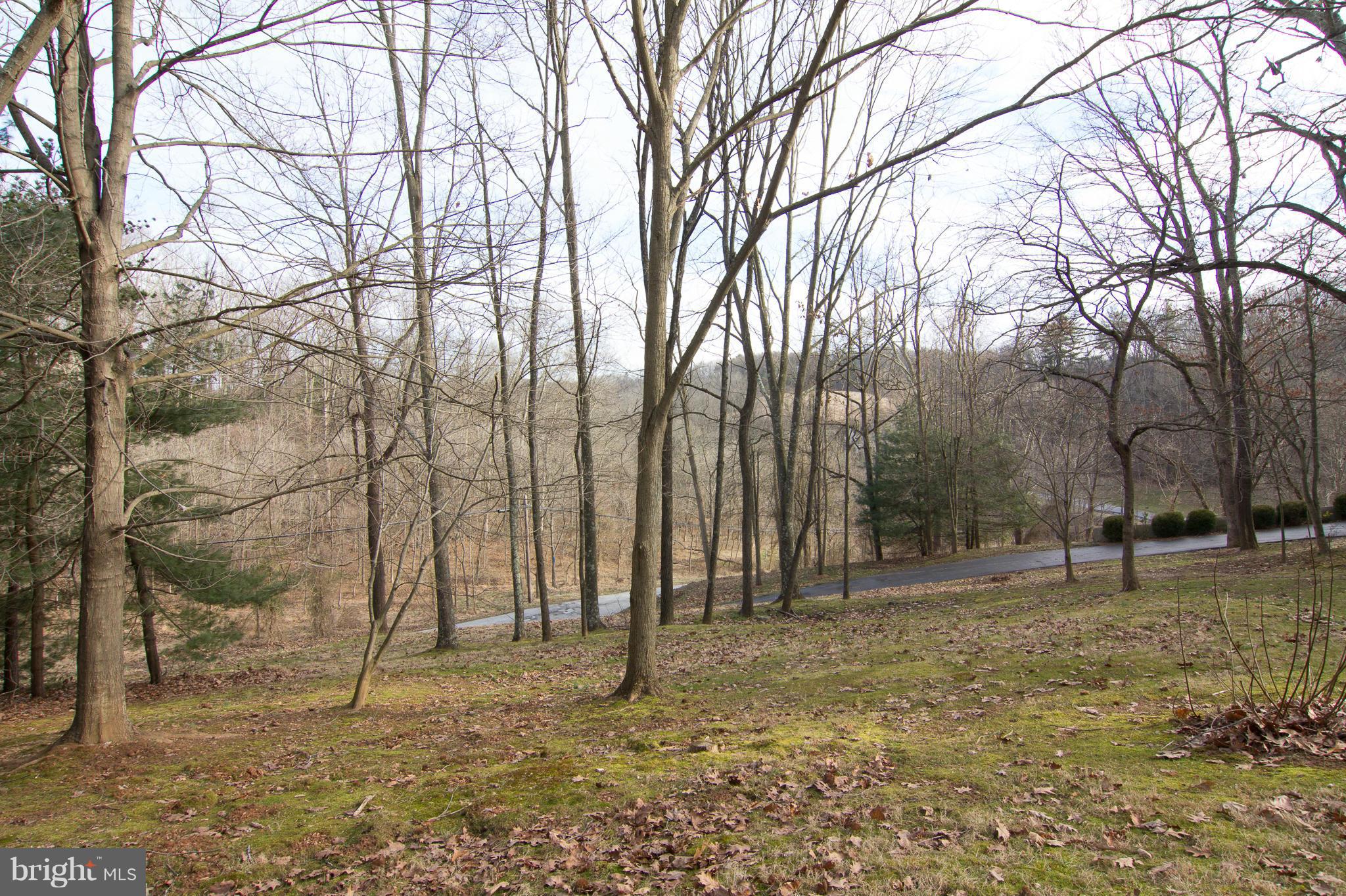 19306 Resh Mill Road Hampstead, MD 21074 - Photo 29 of 30 a view of outdoor space with trees