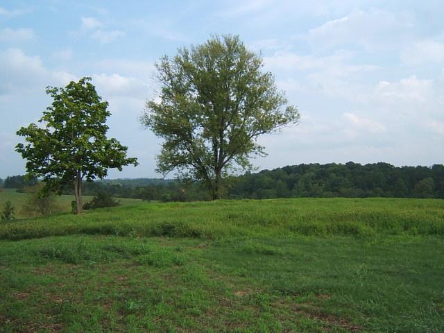 1161 Blankenship Road Goodview, VA 24095 - Photo 12 of 12 a view of grassy field with trees