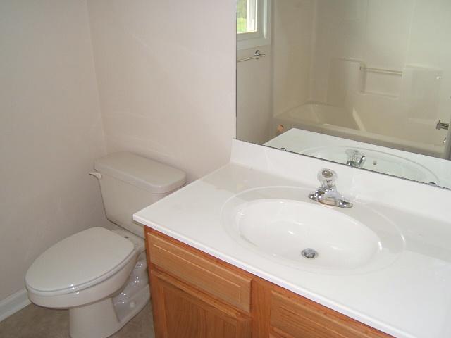 1161 Blankenship Road Goodview, VA 24095 - Photo 5 of 12 a bathroom with a sink a toilet and bathtub