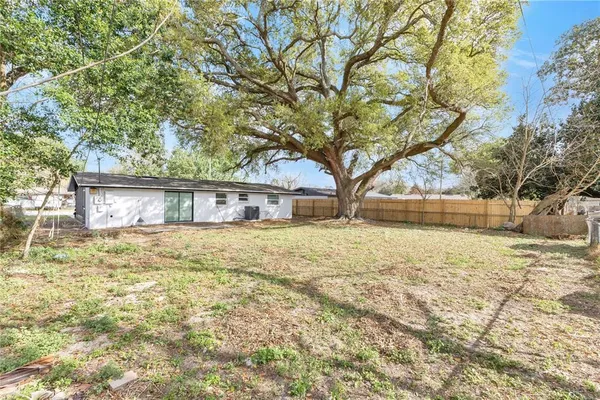 a view of a yard with a tree