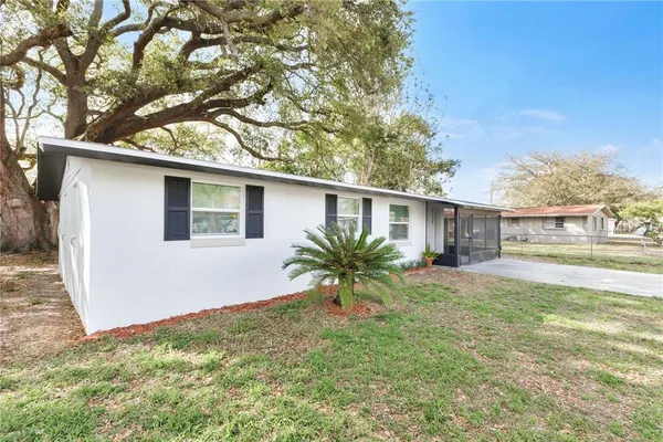 a house that has a tree in front of it