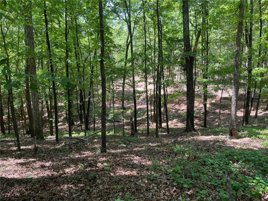 3 Chalcrest Way Cave Spring, GA 30124 - Photo 1 of 57