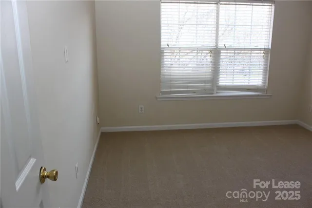 a view of a yard with a yard