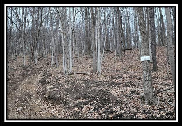 0 Black Run Road, Unit TRACT 8) Chillicothe, OH 45601 - Photo 19 of 47 image019