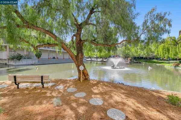 a view of backyard with swimming pool