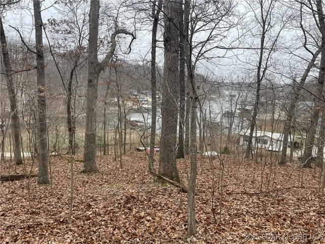 $60,000 | Iras Lane, Sunrise Beach, MO 65079