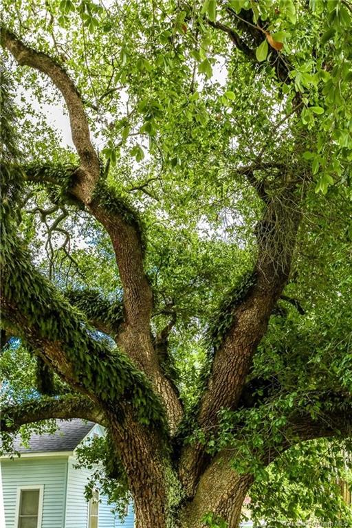 602 West Hudspeth Street Welsh, LA 70591 - Photo 14 of 14