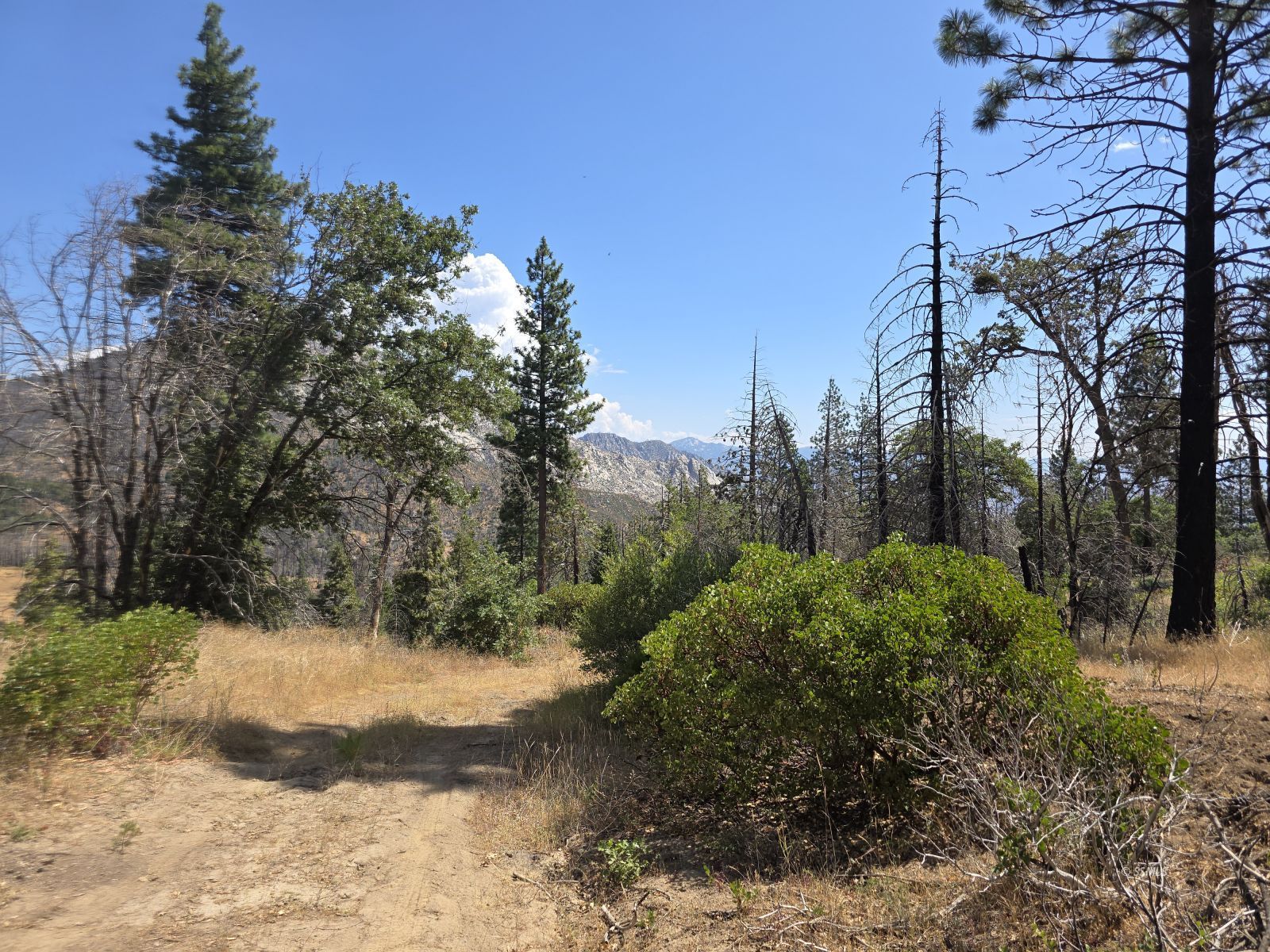 0 Old State Road Wofford Heights, CA 93285 - Photo 7 of 10