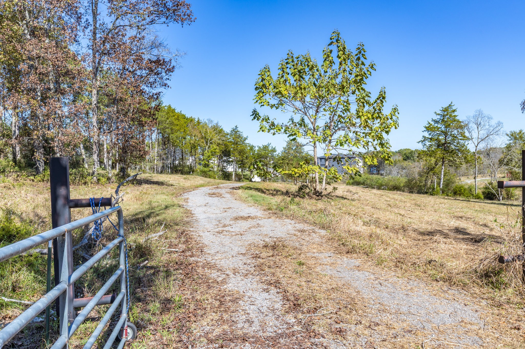 3150 Nonaville Road Mount Juliet, TN 37122 - Photo 18 of 62 a view of a yard with wooden fence