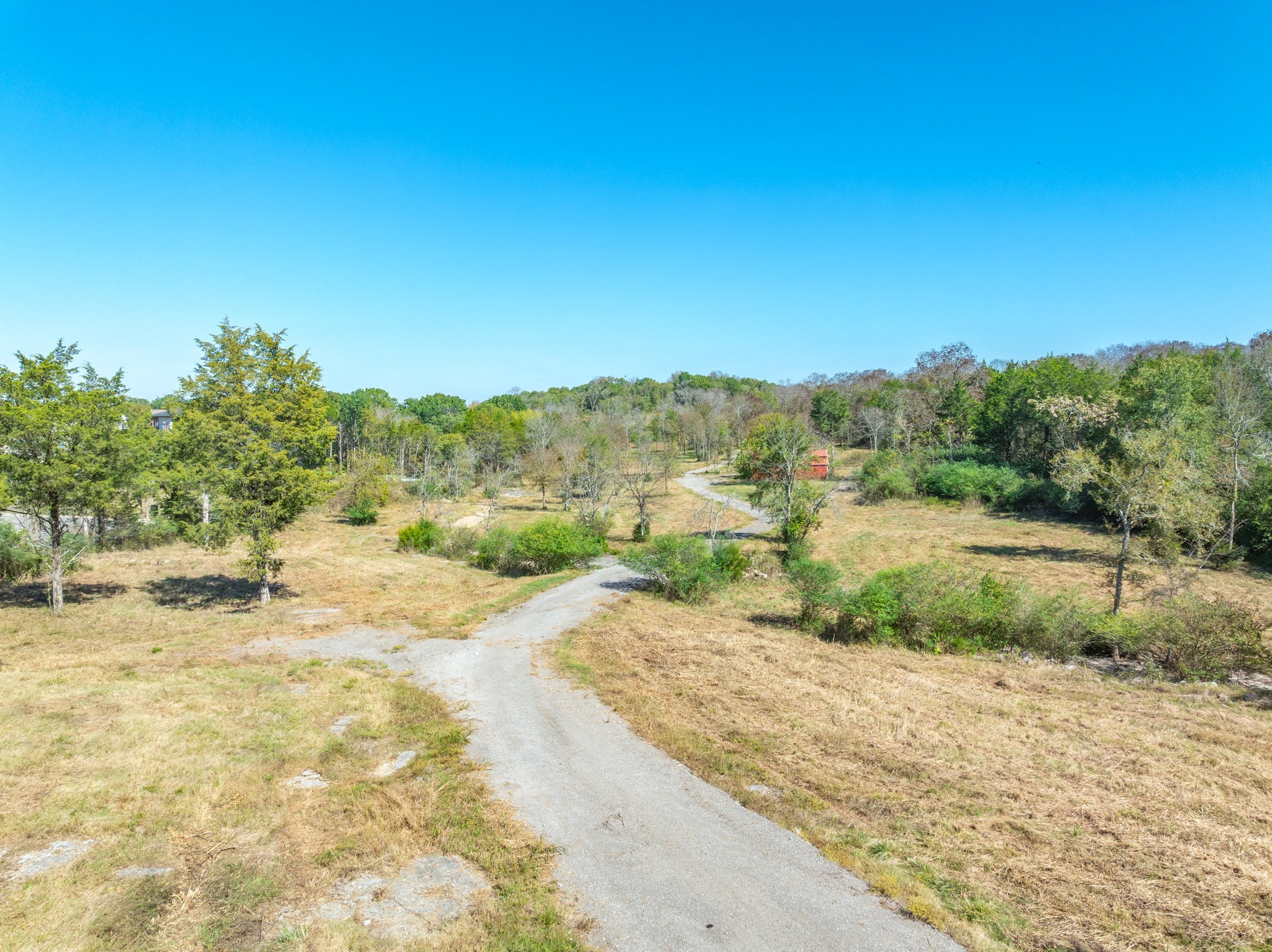 3150 Nonaville Road Mount Juliet, TN 37122 - Photo 21 of 62 a view of a yard with a tree