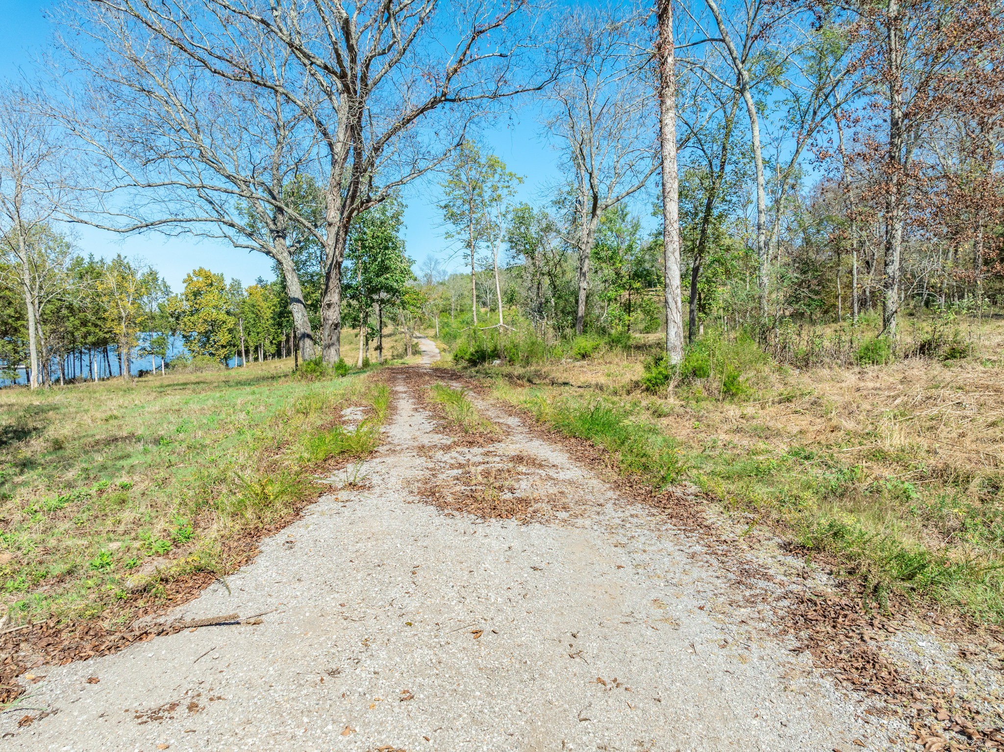 3150 Nonaville Road Mount Juliet, TN 37122 - Photo 33 of 62 a view of a yard with plants and trees