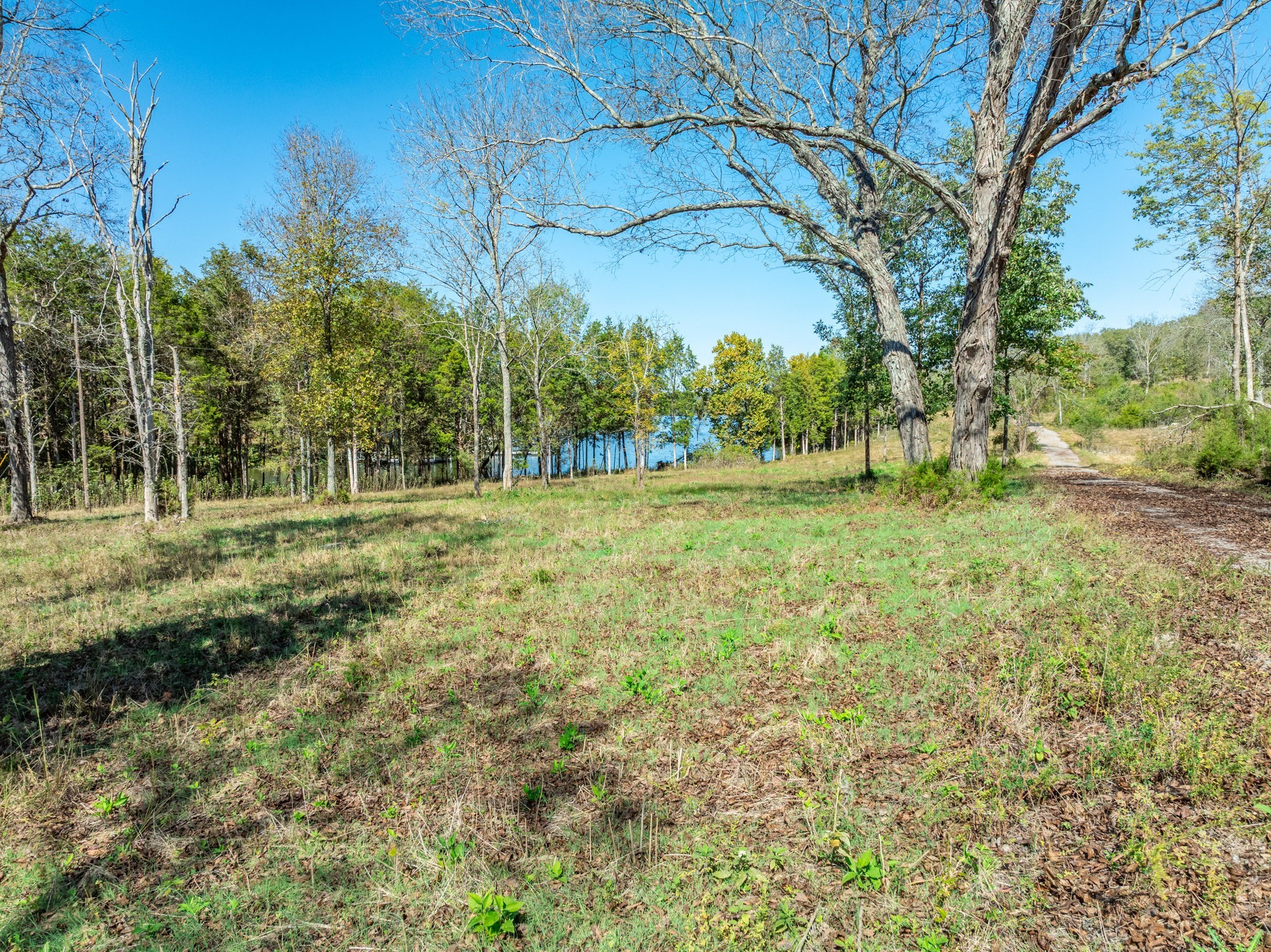 3150 Nonaville Road Mount Juliet, TN 37122 - Photo 34 of 62 a backyard of a house with lots of green space