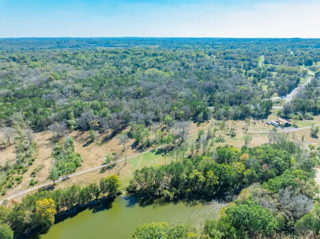 a view of a yard with trees
