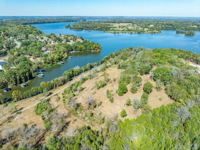 a view of a yard with trees