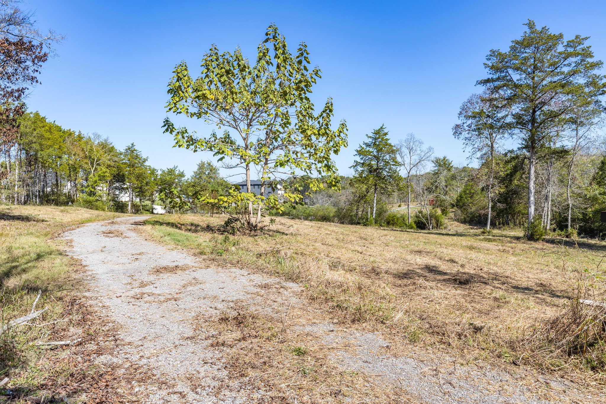 3150 Nonaville Road Mount Juliet, TN 37122 - Photo 46 of 62 a view of dirt yard with a tree