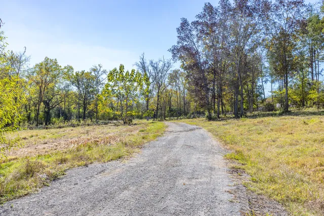 a view of a park with large trees