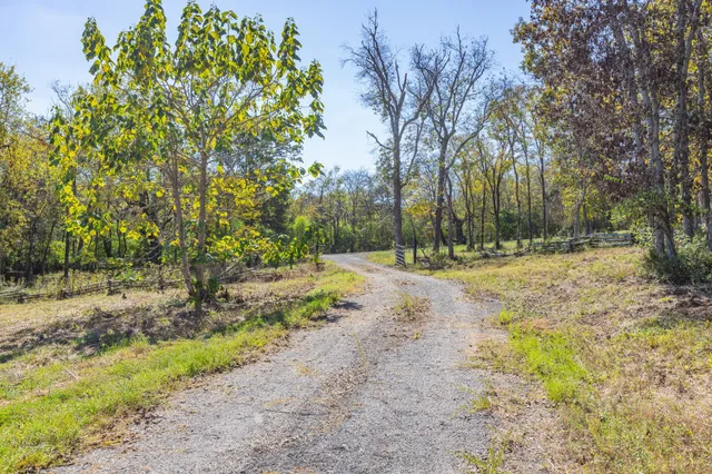 a view of dirt yard with trees