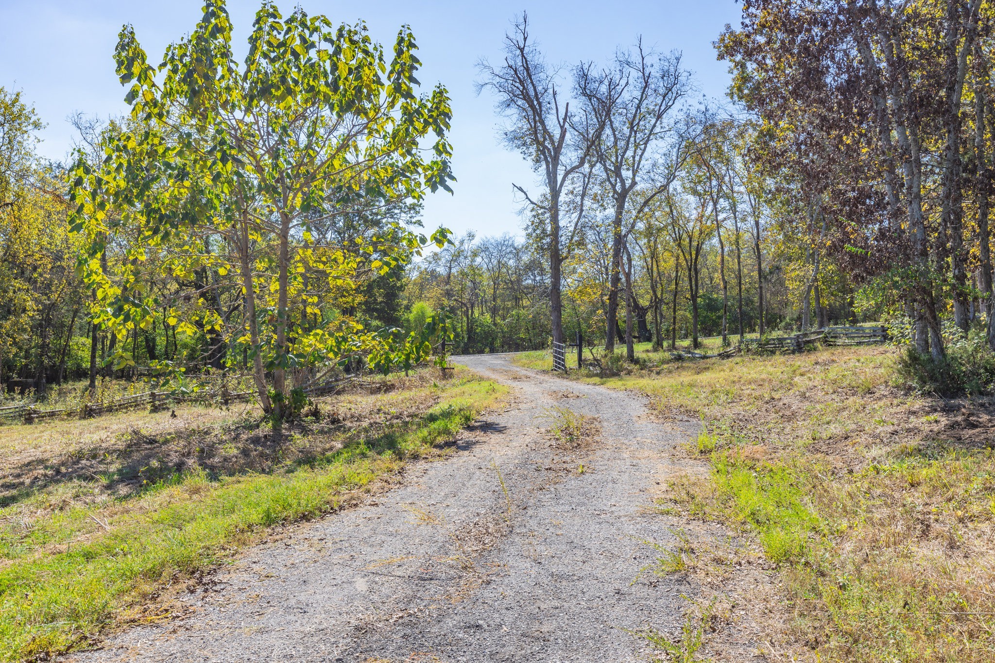 3150 Nonaville Road Mount Juliet, TN 37122 - Photo 48 of 62 a view of outdoor space with trees