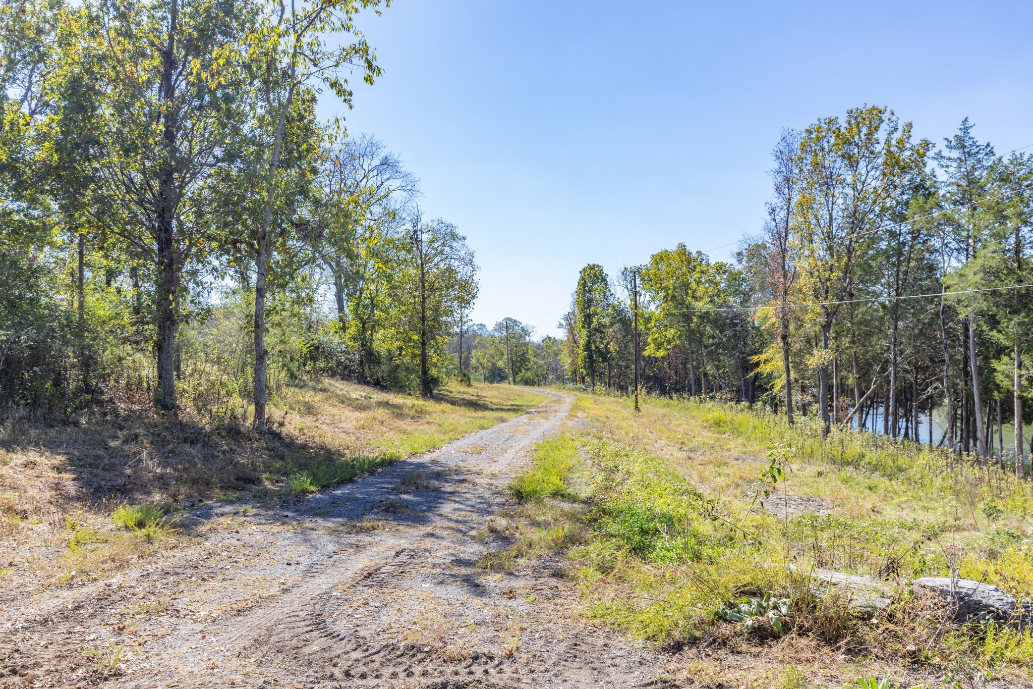 3150 Nonaville Road Mount Juliet, TN 37122 - Photo 49 of 62 a view of a yard with trees