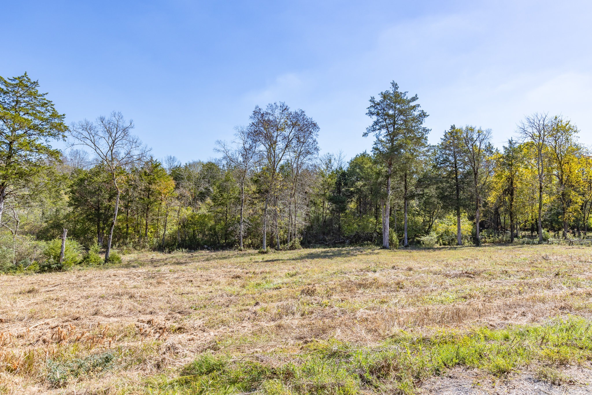 3150 Nonaville Road Mount Juliet, TN 37122 - Photo 50 of 62 a view of a yard with a tree