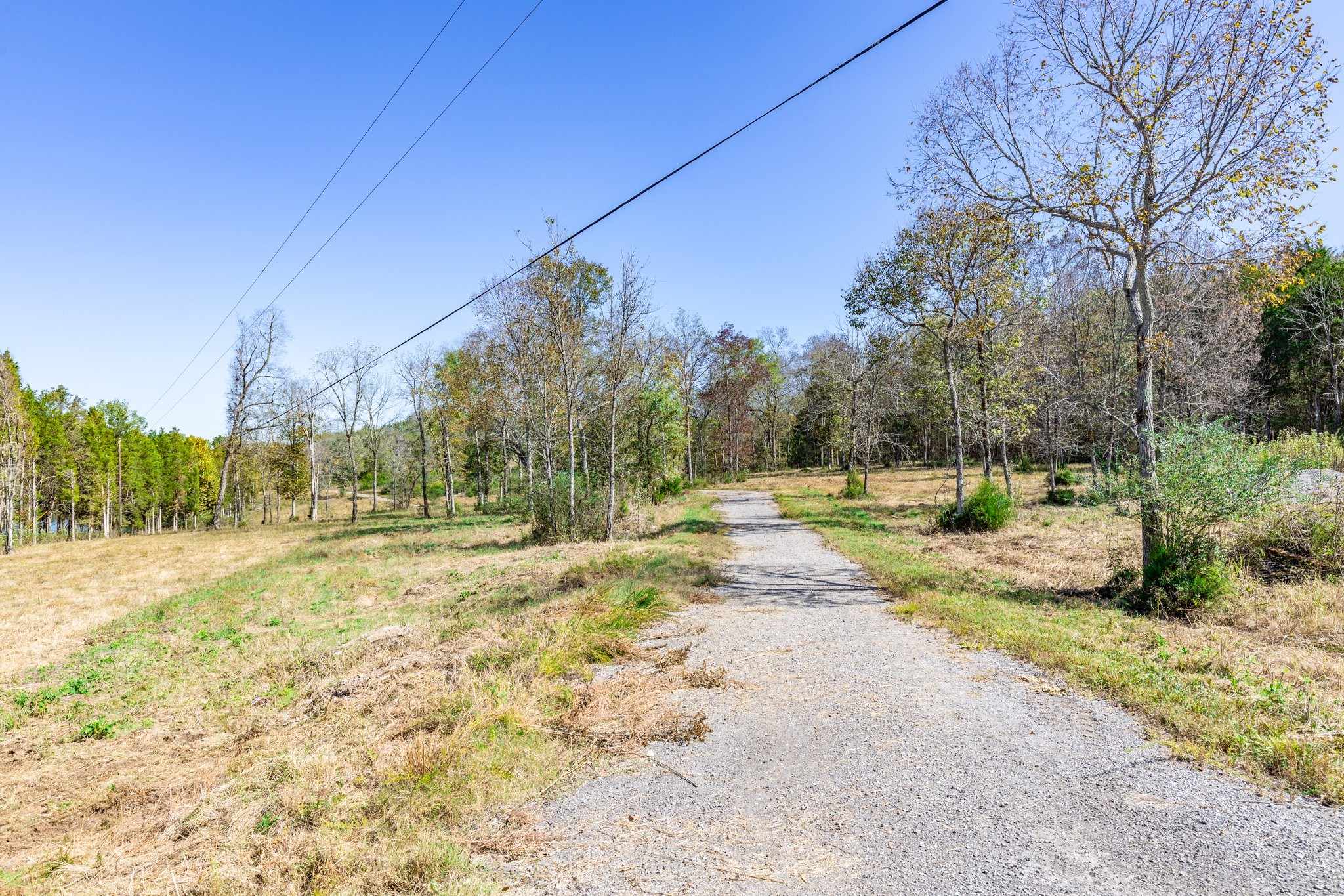 3150 Nonaville Road Mount Juliet, TN 37122 - Photo 53 of 62 a view of a yard with trees