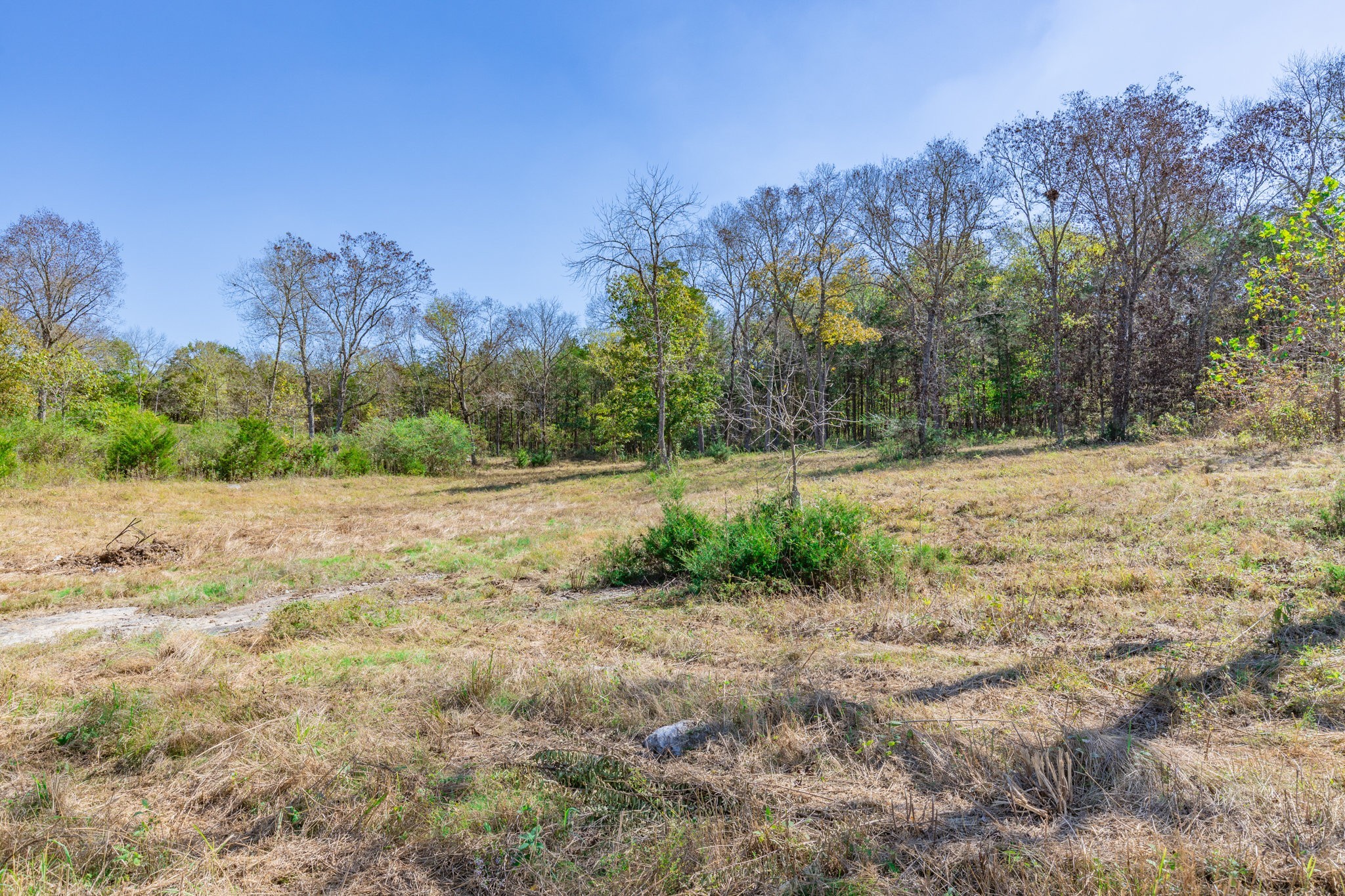3150 Nonaville Road Mount Juliet, TN 37122 - Photo 55 of 62 a view of a yard with a tree