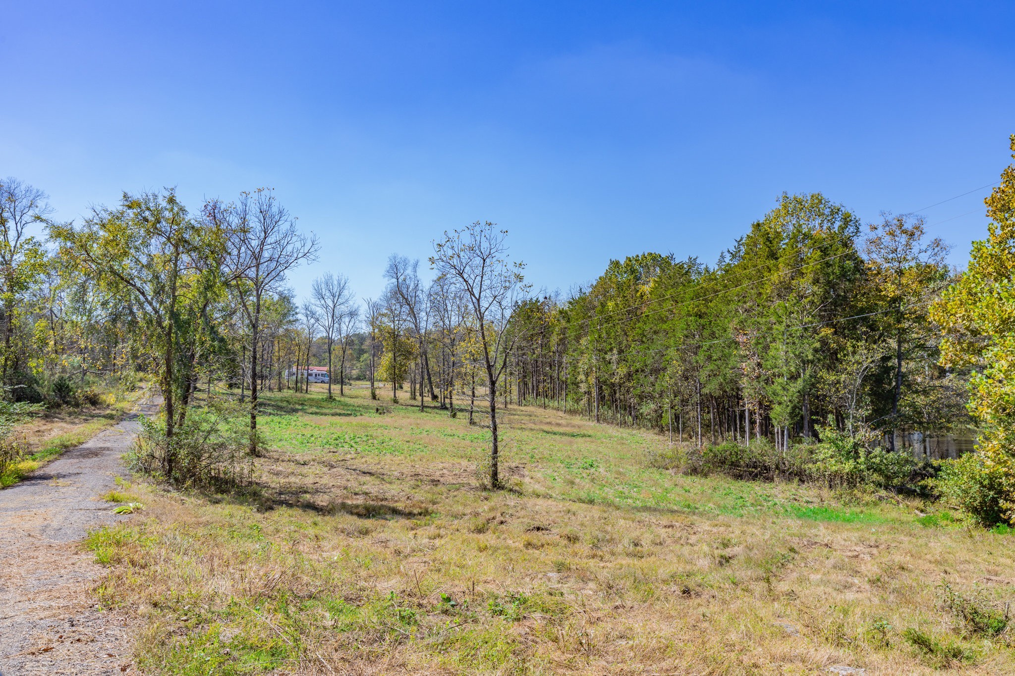 3150 Nonaville Road Mount Juliet, TN 37122 - Photo 57 of 62 a view of a park with large trees