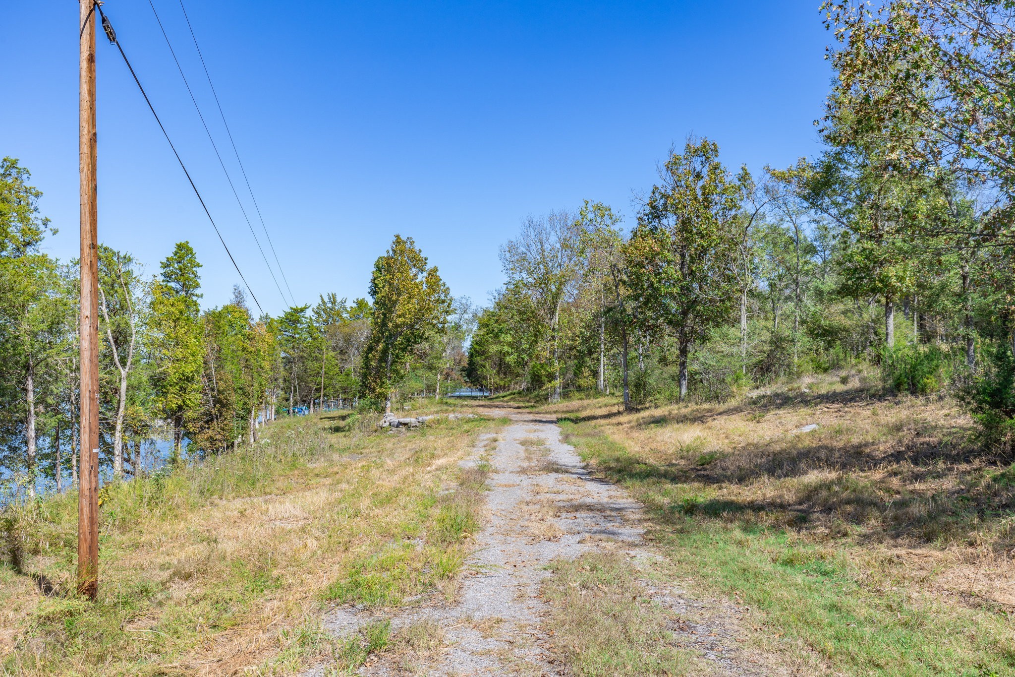 3150 Nonaville Road Mount Juliet, TN 37122 - Photo 58 of 62 a view of dirt yard with trees