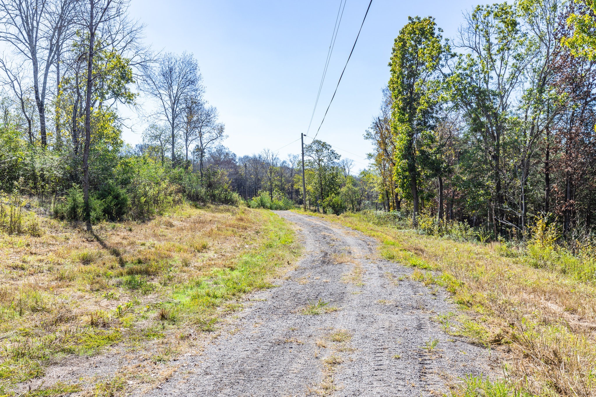 3150 Nonaville Road Mount Juliet, TN 37122 - Photo 59 of 62 a view of a yard with plants and trees