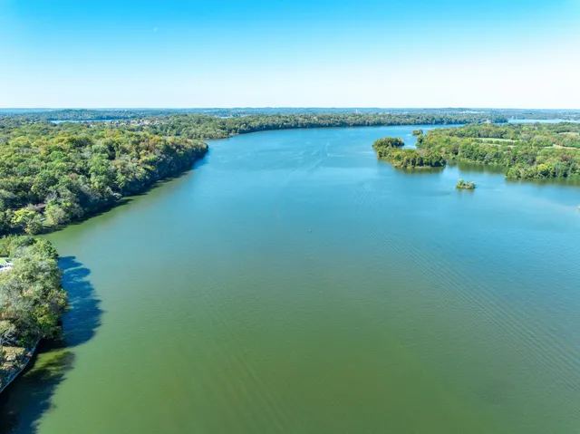 a view of a city with lush green forest