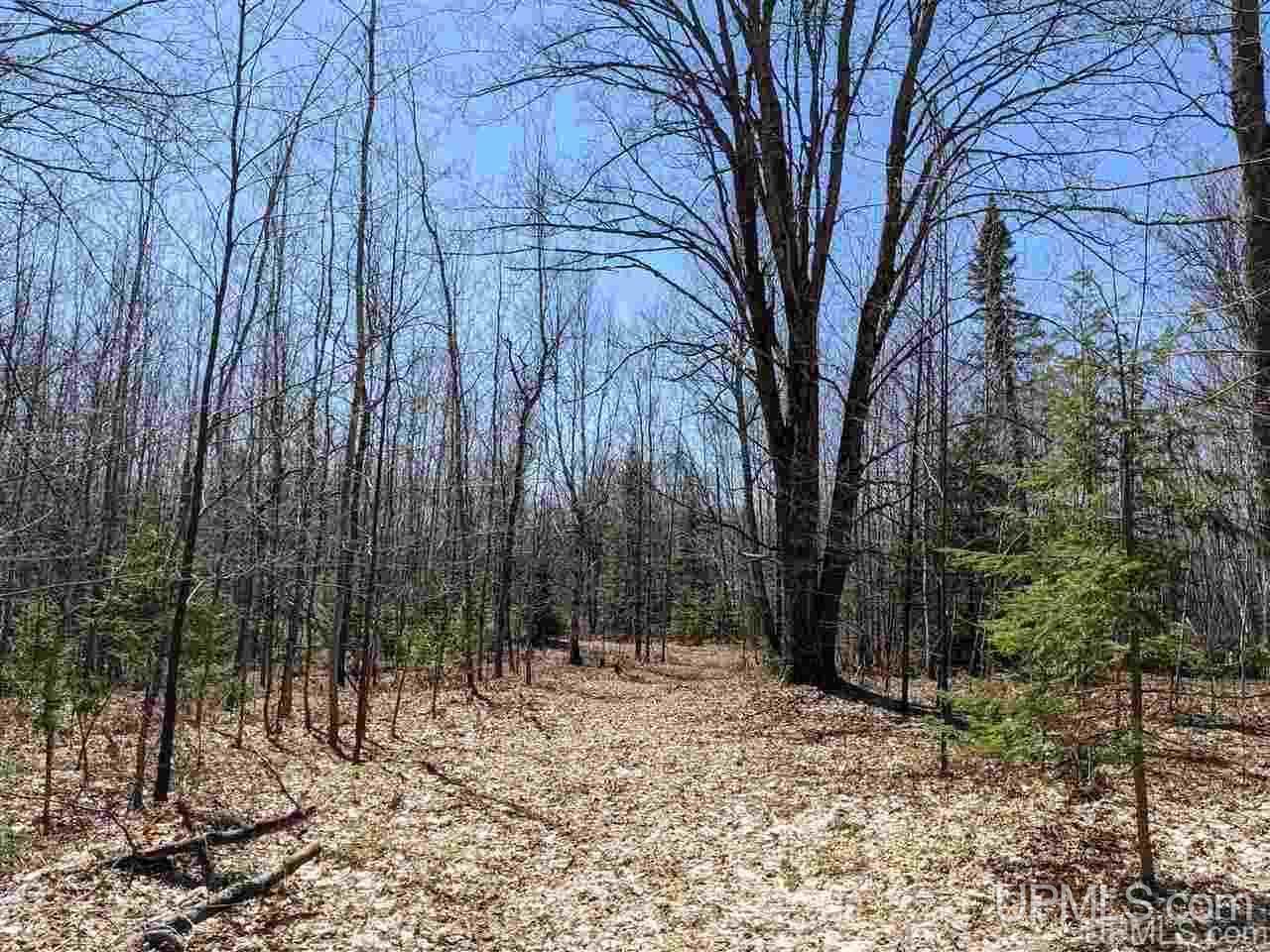 Tbd Off Leeman Road, Unit SENW NESW Sagola, MI 49881 - Photo 10 of 18