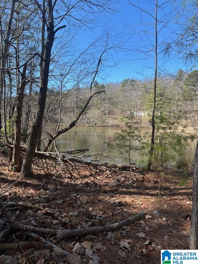 1 Mountain Top Road, Unit 1 Trussville, AL 35173 - Photo 15 of 17