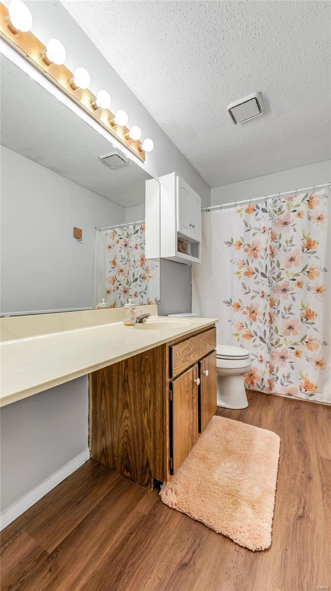 306 Della Drive St. Peters, MO 63376 - Photo 16 of 24