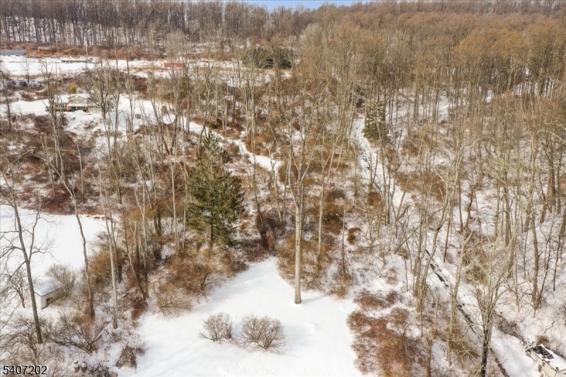 331 County Road 513 Califon, NJ 07830 - Photo 41 of 50