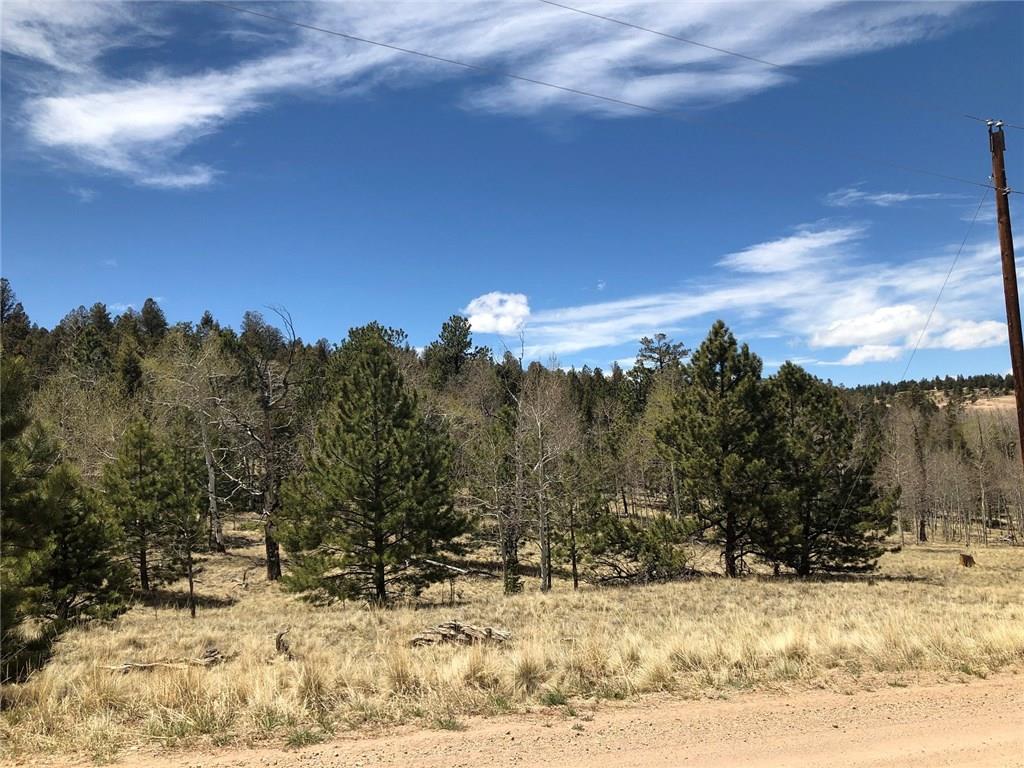 10380 Ranch Road Hartsel, CO 80449 - Photo 1 of 18 a view of a snow on the ground
