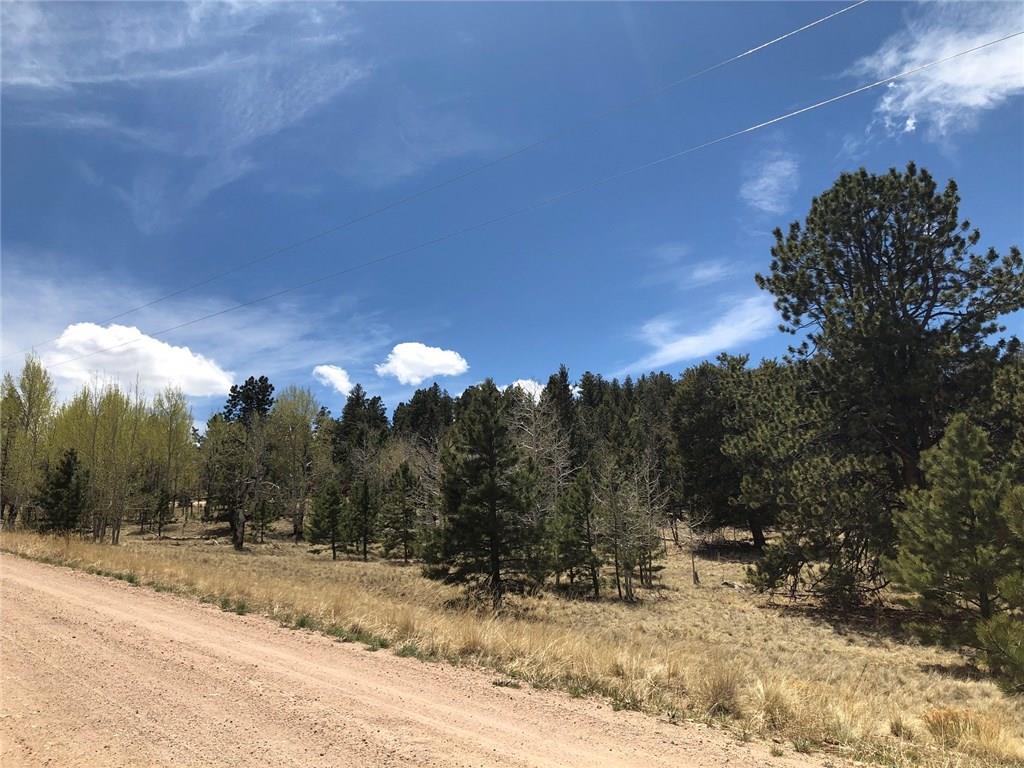 10380 Ranch Road Hartsel, CO 80449 - Photo 2 of 18 a view of a yard with a tree