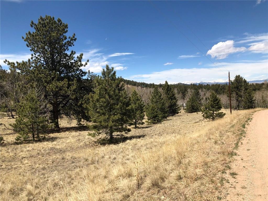 10380 Ranch Road Hartsel, CO 80449 - Photo 11 of 18 a view of a snow on the background