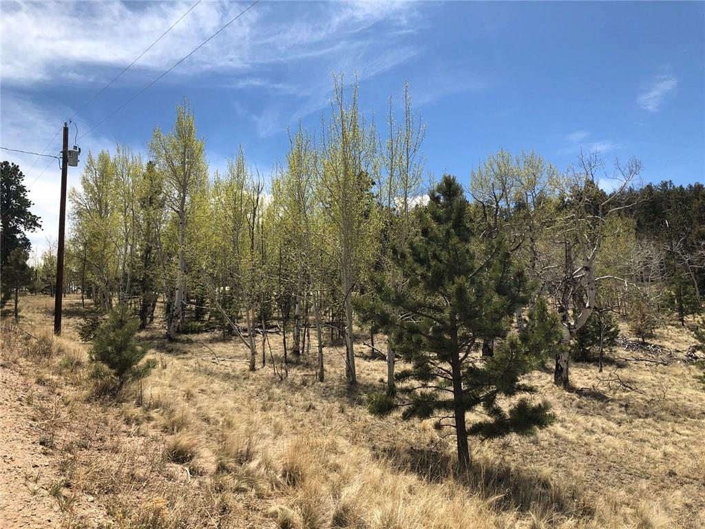 10380 Ranch Road Hartsel, CO 80449 - Photo 13 of 18 a view of a yard with a house in the background