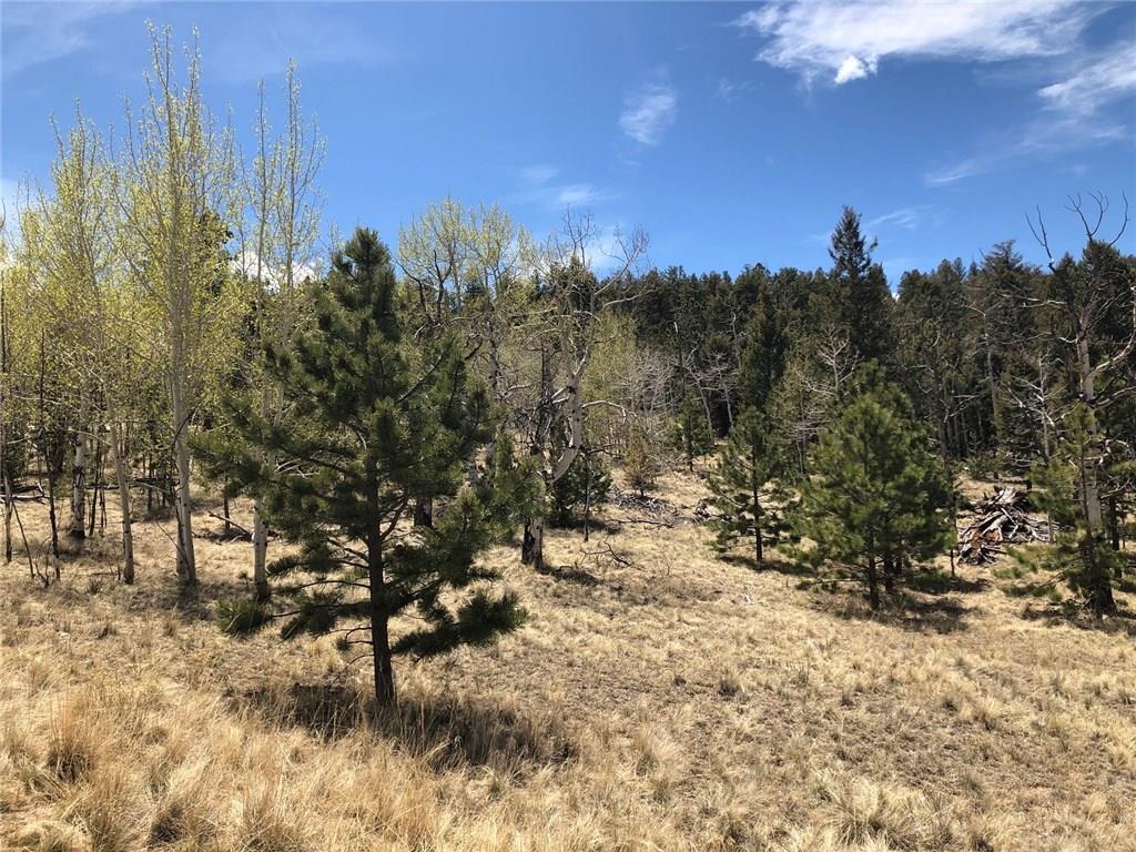 10380 Ranch Road Hartsel, CO 80449 - Photo 14 of 18 a view of a city with lots of trees