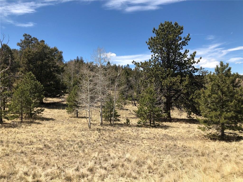 10380 Ranch Road Hartsel, CO 80449 - Photo 15 of 18