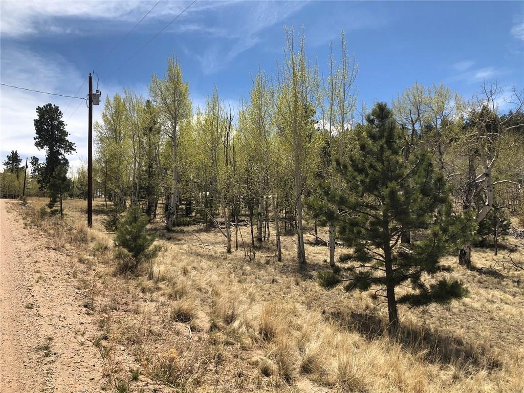 10380 Ranch Road Hartsel, CO 80449 - Photo 16 of 18 a view of outdoor space with trees